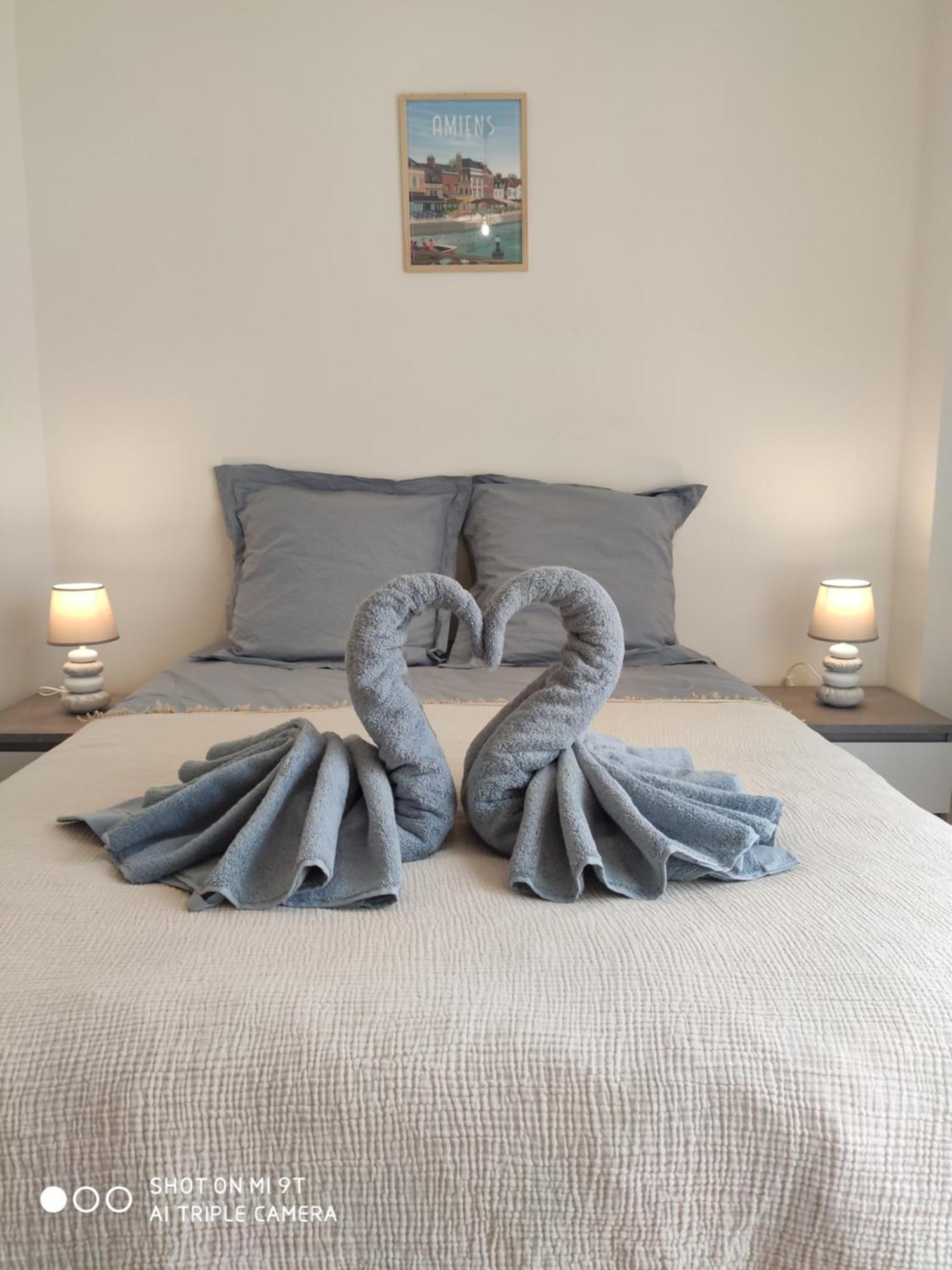 Sublime T2 Lumineux Avec Balcon - Rue Gratuite Apartment Amiens Bagian luar foto